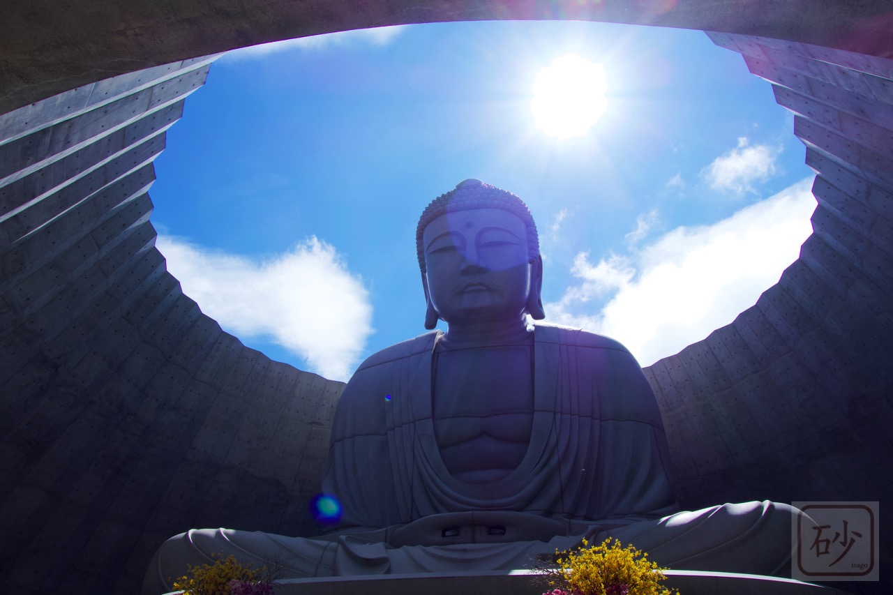 ラベンダー畑からニョキッ 頭大仏を見に行く 木を彫る日々