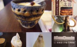 北大式土器