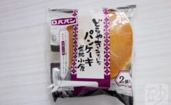 ロバパン