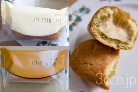 六花亭シーフォームケーキ