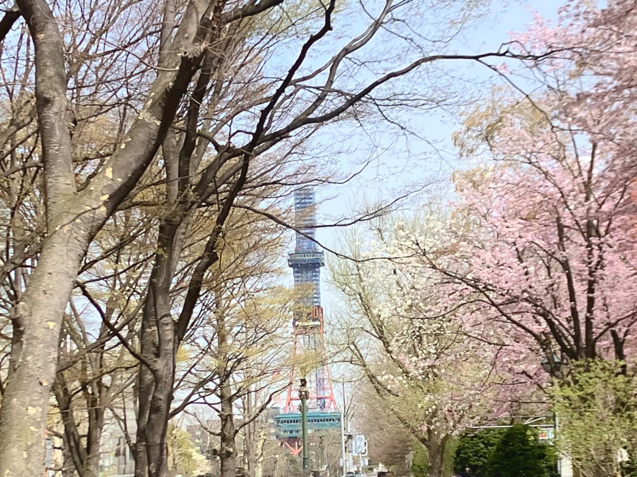 桜テレビ塔