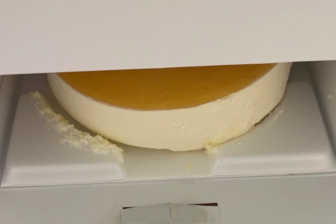黄金の梅のセミフレッド