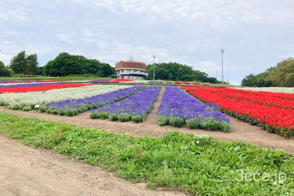 はなてんと
