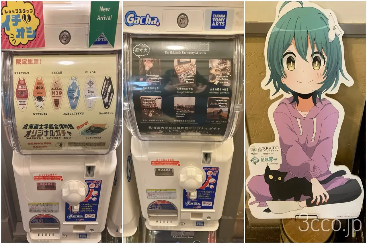 画像 博物館の中