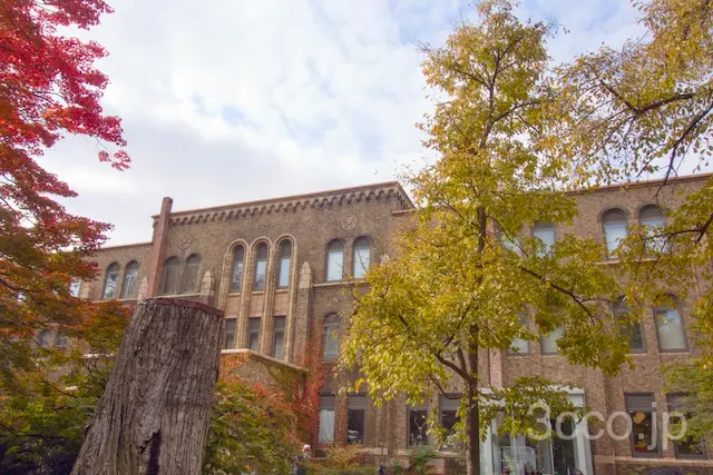 画像 北海道大学総合博物館