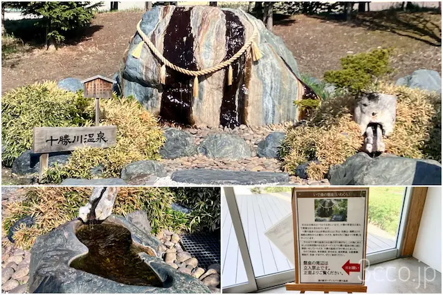 道の駅十勝川ガーデンスパ大きな岩