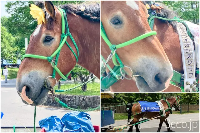 馬