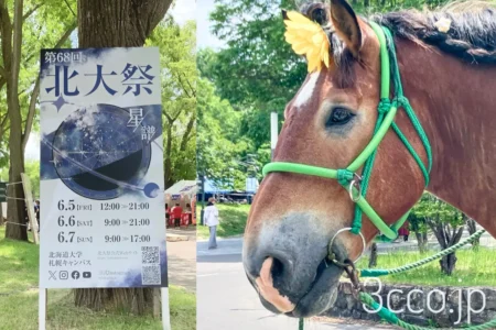北大祭2026