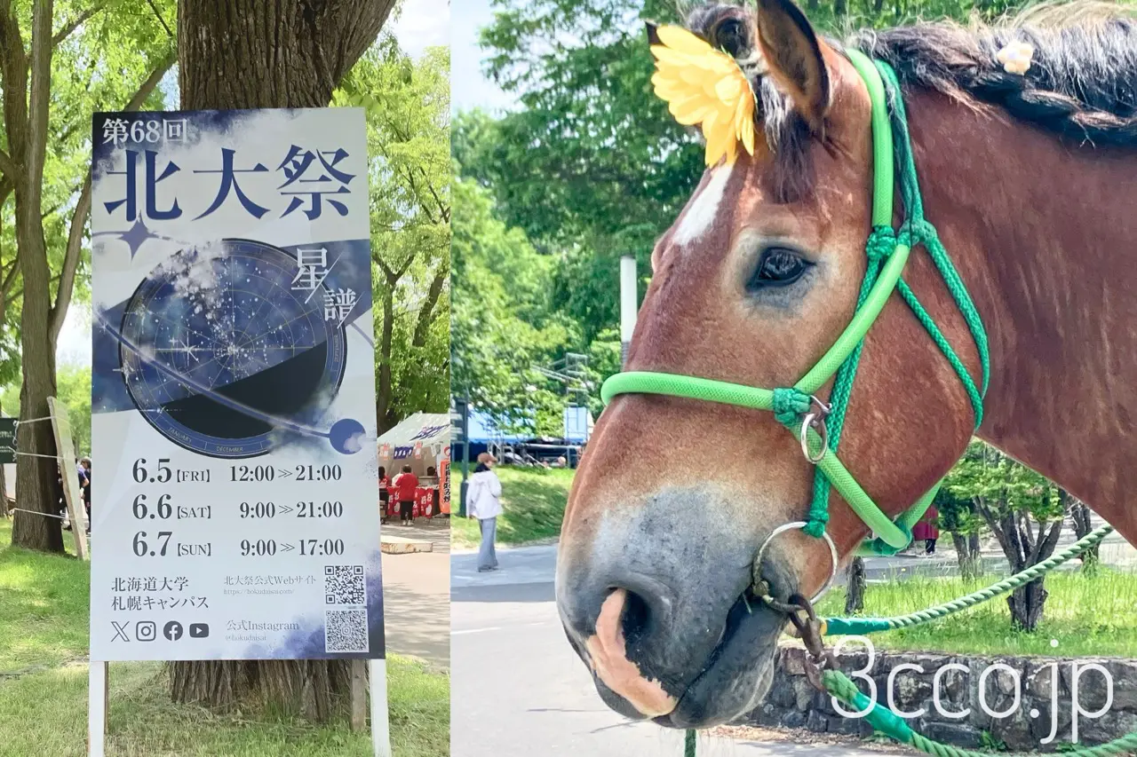 北大祭2026に行ってきた！セコマのお酒売り場がブルーシートで封印されていた話