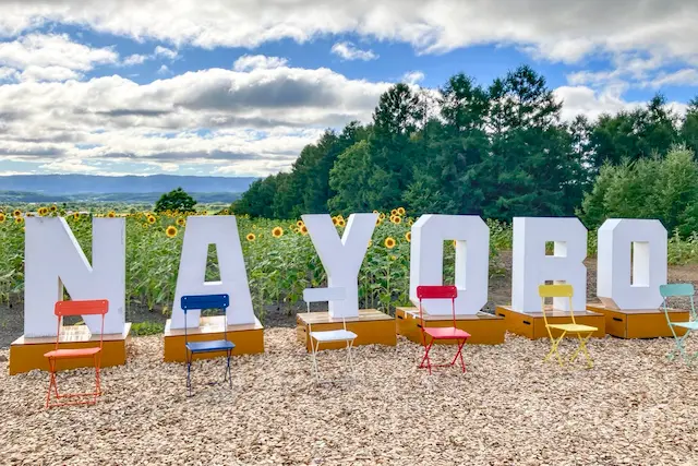 名寄市サンピラーパーク頂上NAYOROオブジェ