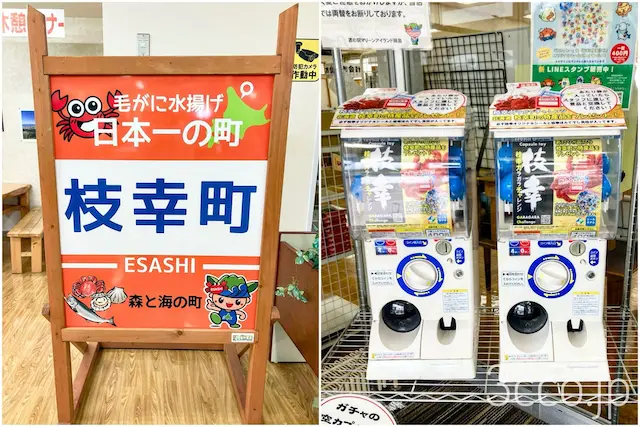 枝幸町道の駅館内