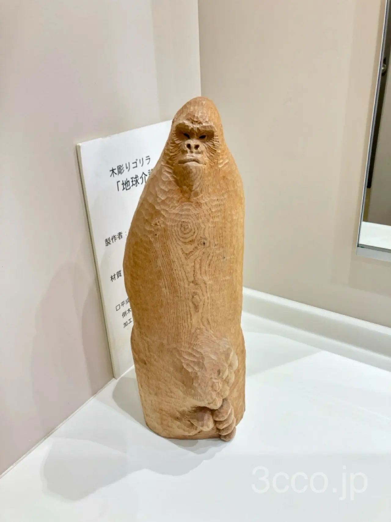 北大博物館ゴリラ2026