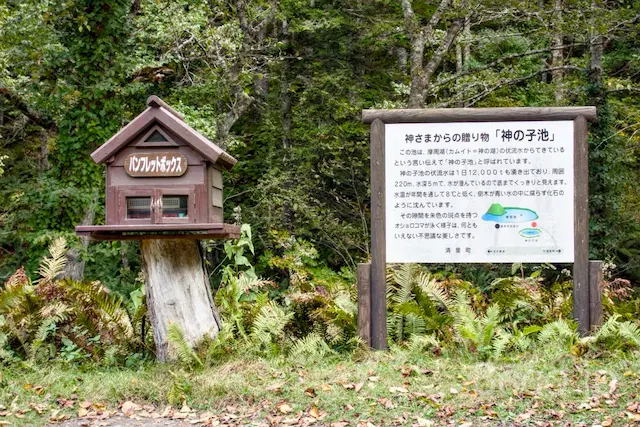 神の子池駐車場前