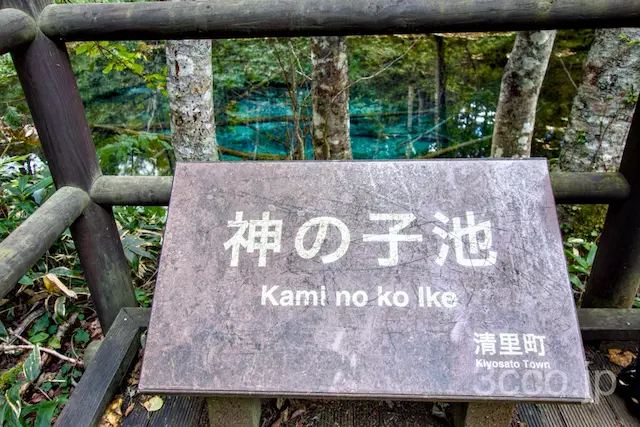 神の子池に行ってきた！透明度がすごい