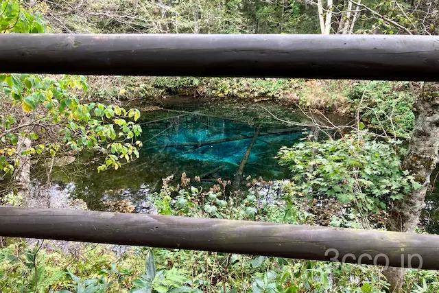 神の子池