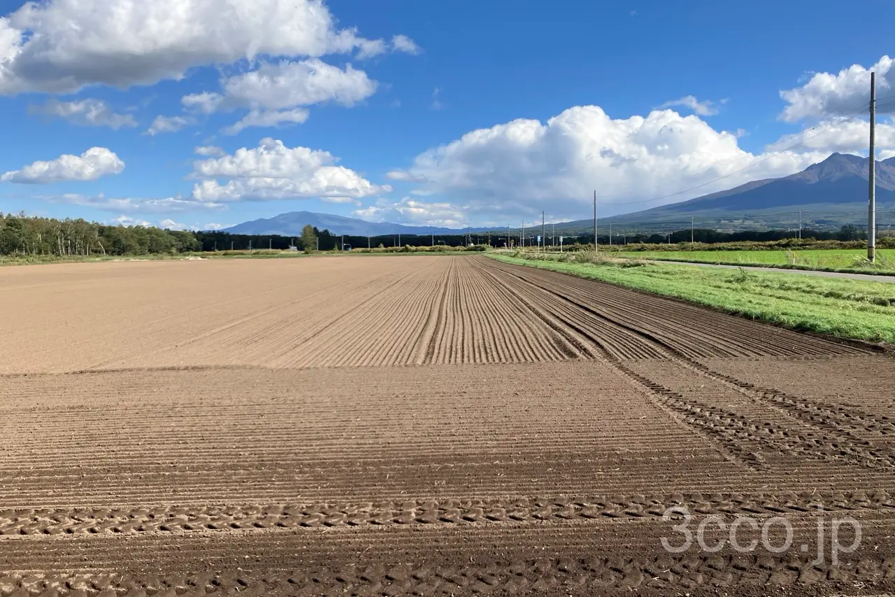 秀峰庵の目の前の風景